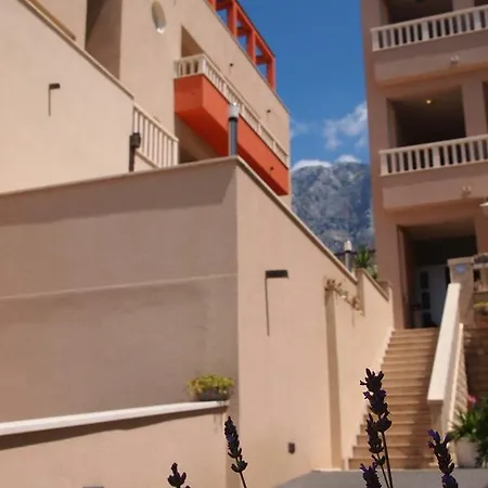 Agava * Makarska