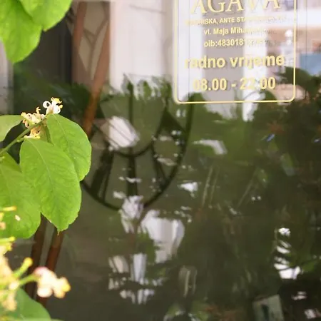 Agava * Makarska