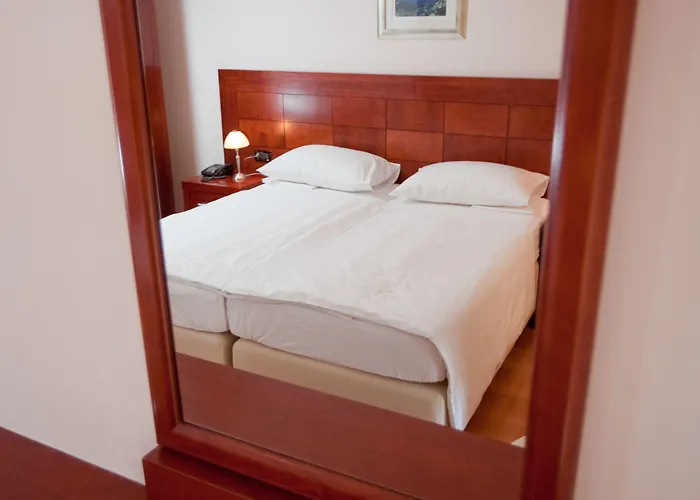 Agava ماكارسكا